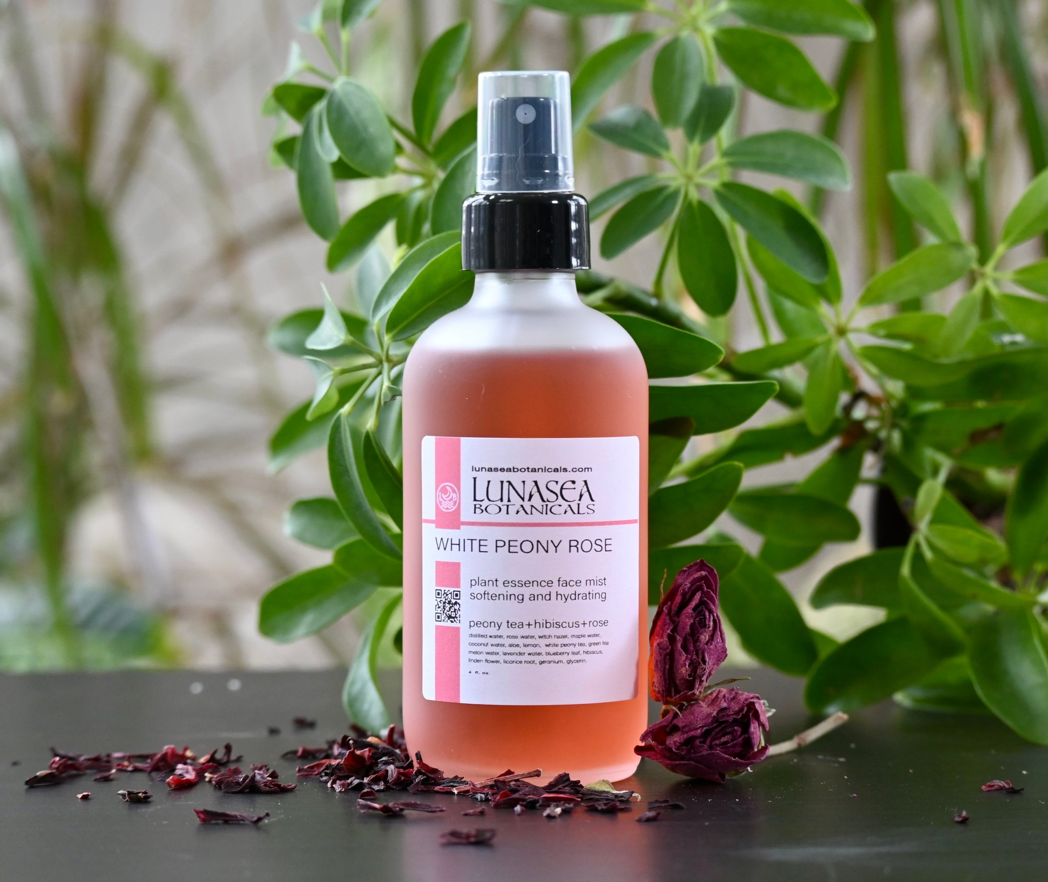 Toners and Mists – Lunasea Botanicals